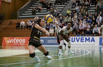 Taryn Sciarini à la réception