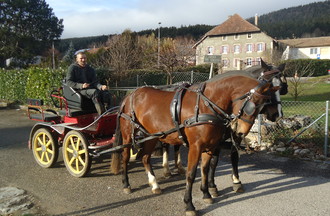 Antoine et ses chevaux
