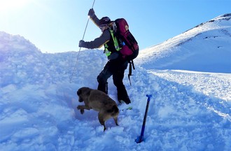 Sauvetage avalanche - REGA et Secours Alpin Suisse