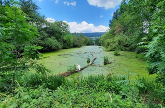 Photo du défi
