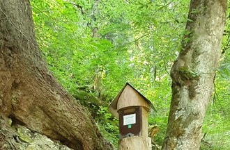 Photo du défi