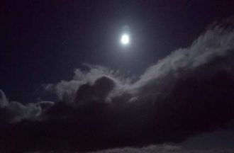 La photo gagnante de Christiane