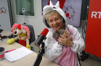 Quand un lapin rencontre une licorne
