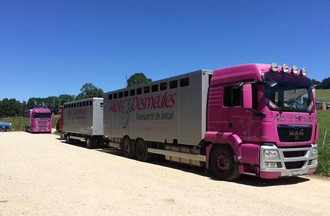 La photo gagnante choisie par Gaëlle