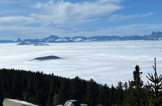 Thème du défi: des photos prises depuis une fenêtre