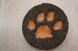  L'empreinte d'un lynx