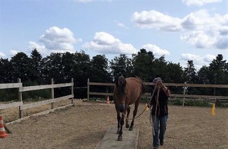 Claire Bertholet et son cheval