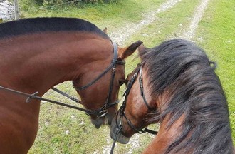 La photo gagnante du défi celle de Thyfanie choisie par Claire Betholet