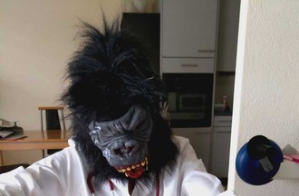 Notre gorille du dimanche en pleine opération