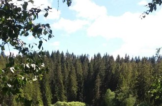 La photo gagnante du défi