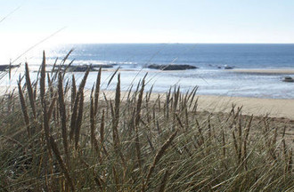 La plage de Maguéro photo de Didier