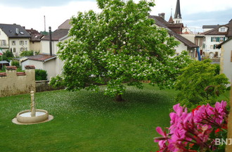 le jardin du château 