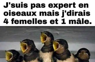 La photo gagnante du défi