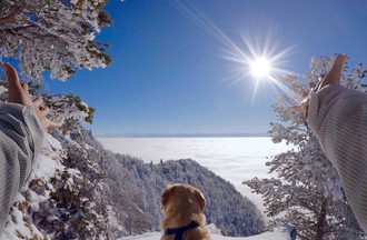 Les photos du défi