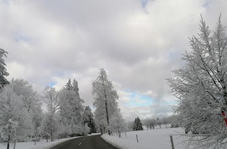 Loris sur la route entre Lajoux et Saulcy