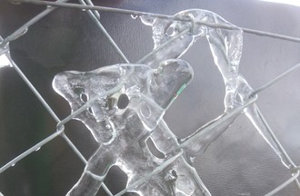 Agnès a attrapé un drôle d'animal sur sa clôture à Bassecourt