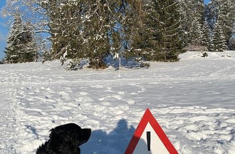 Luca avec prudences aux Genevez