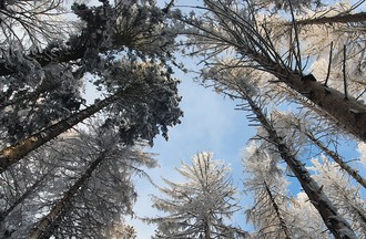 C'est aux Chainions que Vlady a levé l'objectif vers le ciel