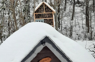 Tout est sous la neige dans le jardin de Sandra