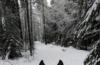 À cheval dans les Franches-Montagnes avec Jean-Claude