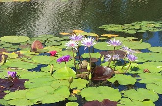 La photo gagnante choisie par Océane 