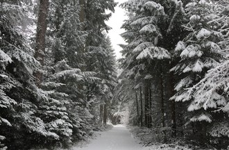 Géraldine en promenade près d'Autavaux