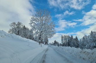 Samantha sur la route de la montagne de Buttes