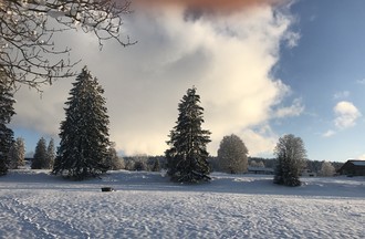 Suzanne au pré Petitjean