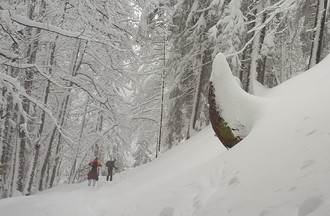 Il y a comme une dent de neige préhistorique qui menace Dominique et ses amis au parc naturel du Chasseral