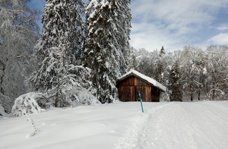 Isabelle à La Tourne