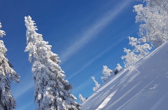 Pascal était en haut des Pointes au Pâquier