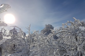 Soleil et arbres givrés du haut du téleski des Savagnières par Pascal