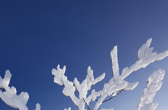 Décor givré en haut du téleski des Savagnières capturé par Pascal