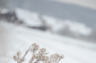 Joan à Buix