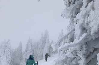 Manon à Chasseral