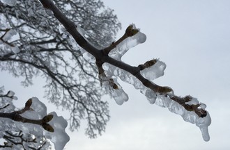 Martine a figé, sous la glace, l'espoir du printemps