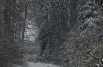Promenade mystérieuse avec Joan à Buix