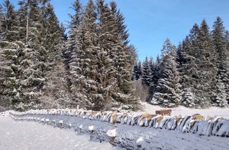 Annemarie entre Les Enfers... et le paradis !