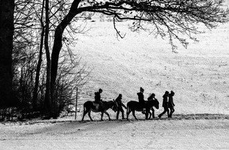 Joli noir et blanc d'André sur le plateau de Diesse