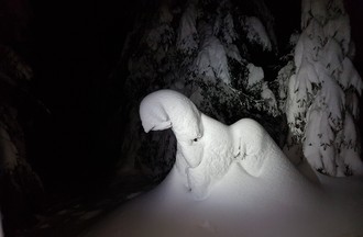 François dans la région du Chasseron