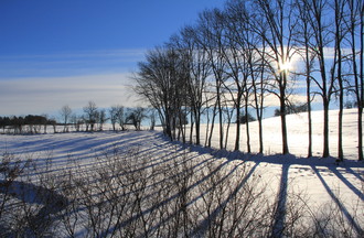 Julie en balade à Villeneuve d'Amont dans le Jura français