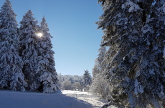 Nancy au Crêt-du-Puy