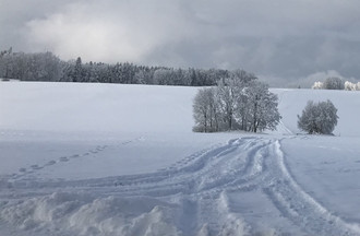Didier aux Genevez