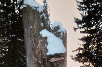 Annemarie a trouvé un tronc déguisé en vilain faune aux Emibois
