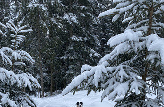 Antoine en promenade à Bellelay