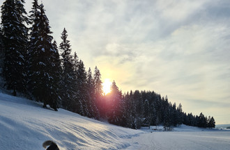 Marco en balade au lac des Taillères