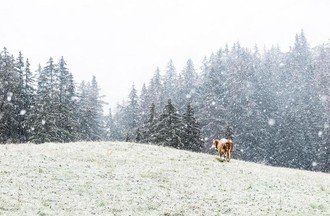 Michel dans la Vallée de Joux