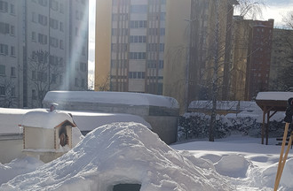 La cabane des 4h dans le jardin de Florence à la Chaux-de-Fonds