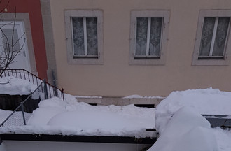 Le lapin blanc se repose dans la cour de Marie-Line à La Chaux-de-Fonds