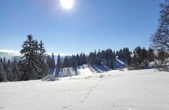 Meryl à Combes-Dernier